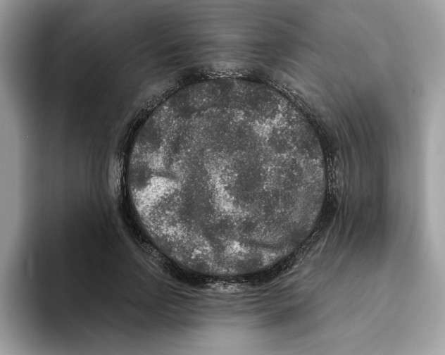 X0000093450742200711091512