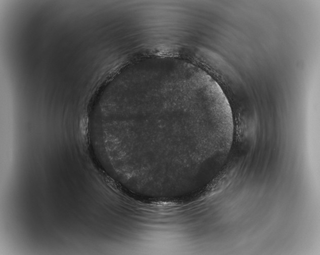 X0000093450748200711091512