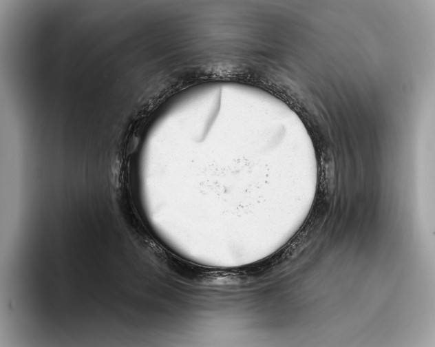 X0000093450750200711091512