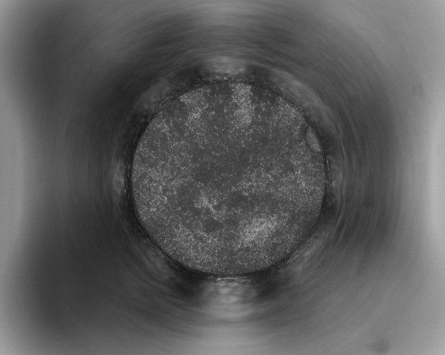 X0000093450758200711091512