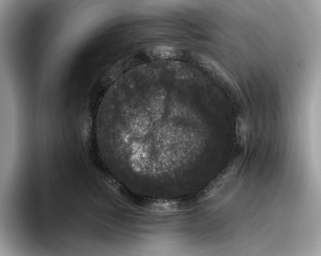 X0000093450760200711091512