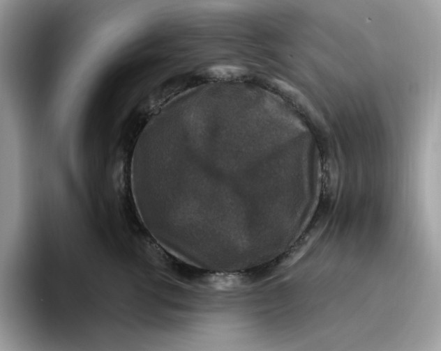 X0000093450762200711091512