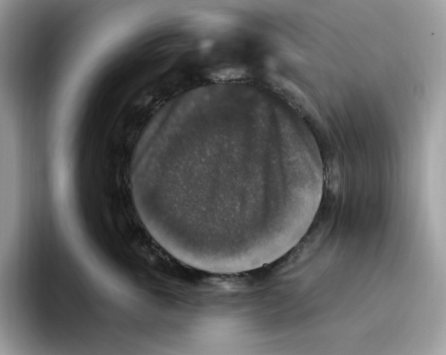 X0000093450763200711091512