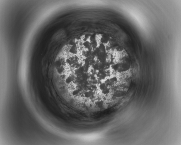 X0000093450765200711091512