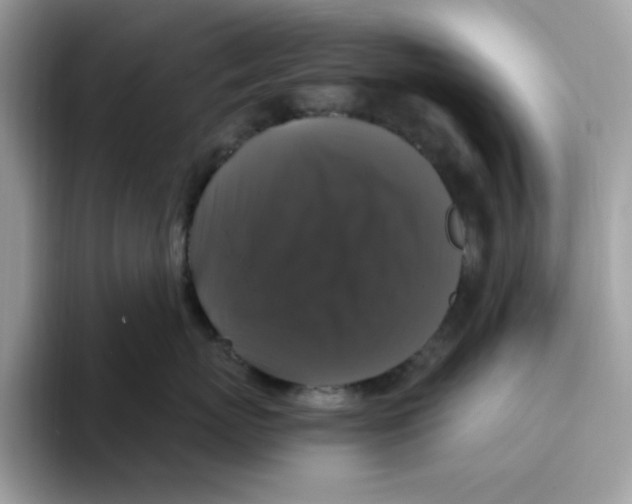 X0000093450767200711091512