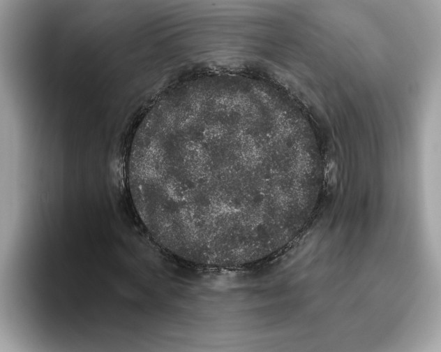 X0000093450772200711091512