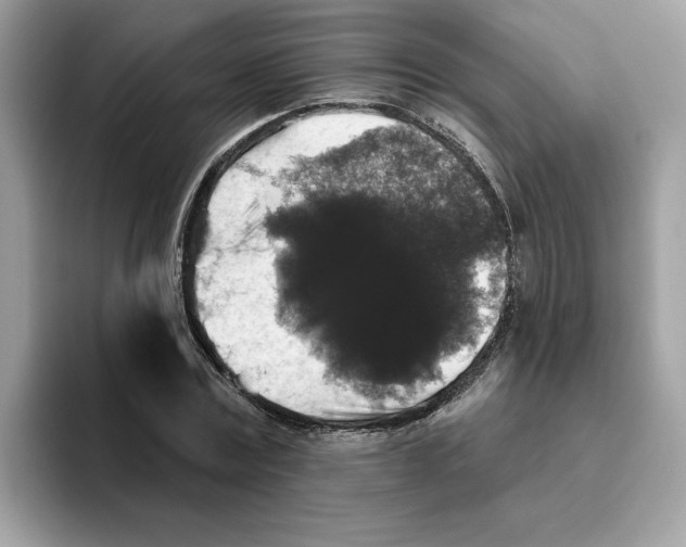 X0000093450779200711091511