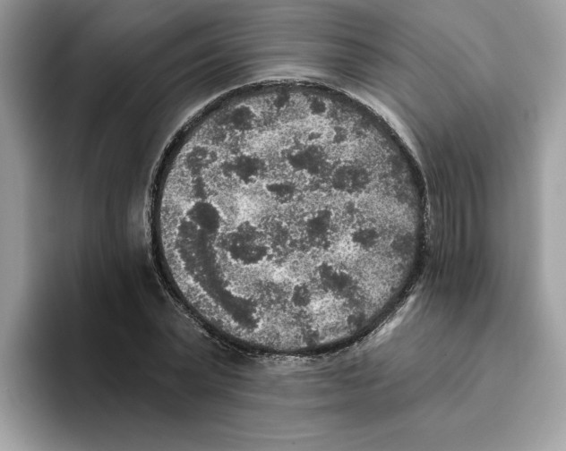 X0000093450783200711091511