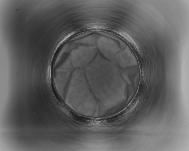 X0000093450790200711091511