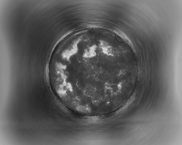 X0000093450798200711091511