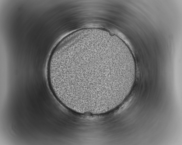 X0000093450803200711091511