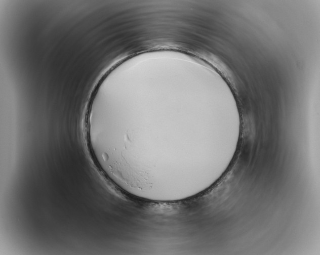 X0000093450806200711091511