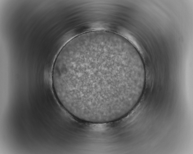 X0000093450810200711091511