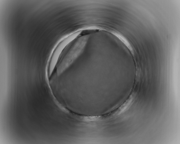 X0000093450813200711091511