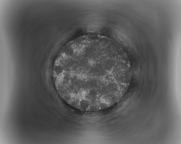 X0000093450817200711091510