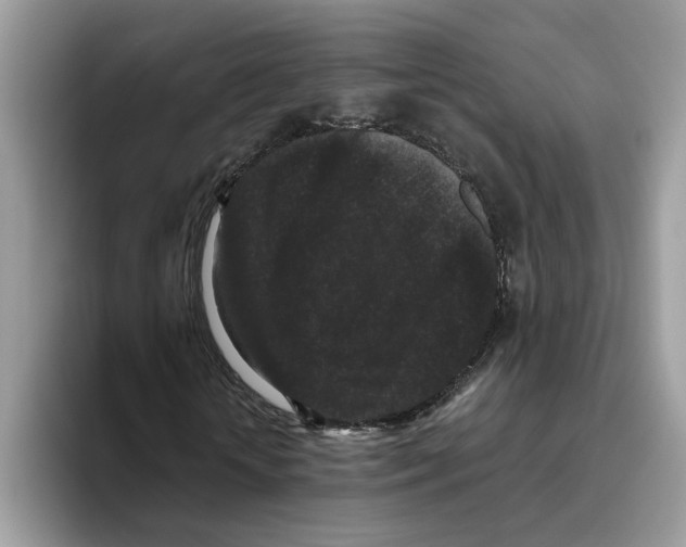 X0000093450818200711091511