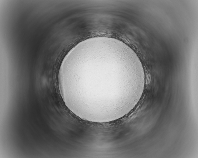 X0000093450820200711091511