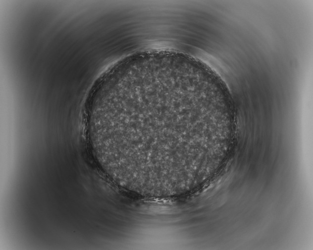 X0000093450823200711091511