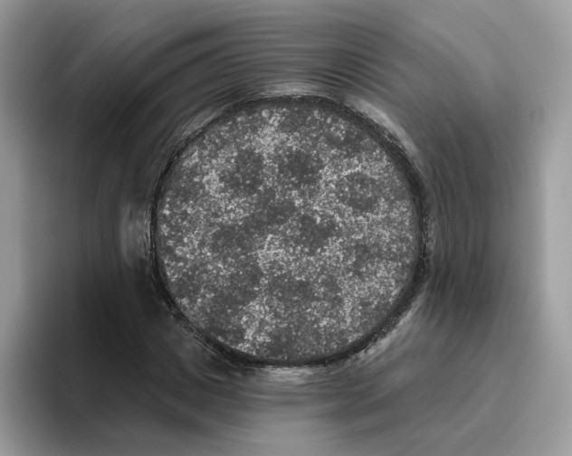 X0000093450825200711091511