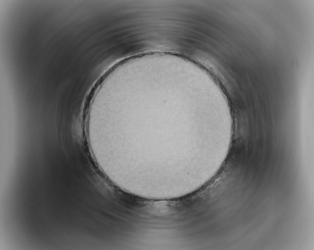 X0000093450828200711091511