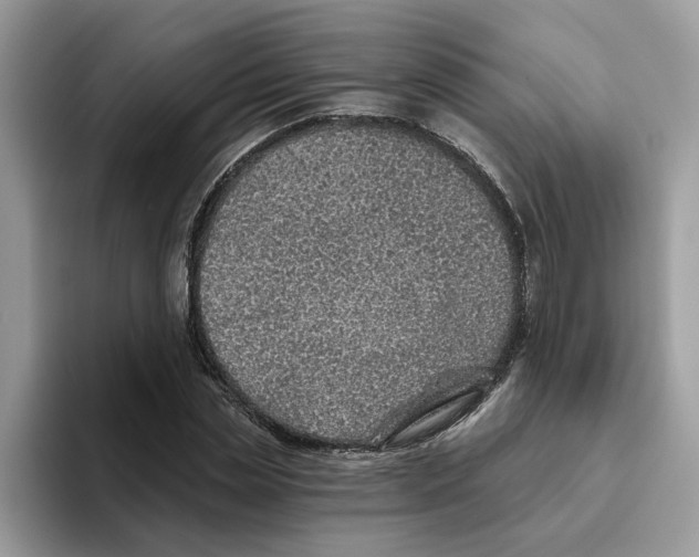 X0000093450829200711091511