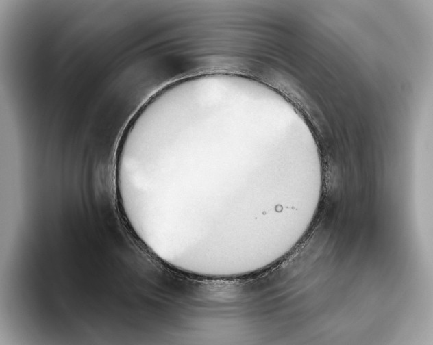 X0000093450836200711091511