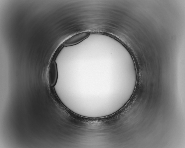 X0000093450838200711091511