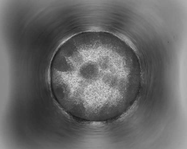 X0000093450839200711091511