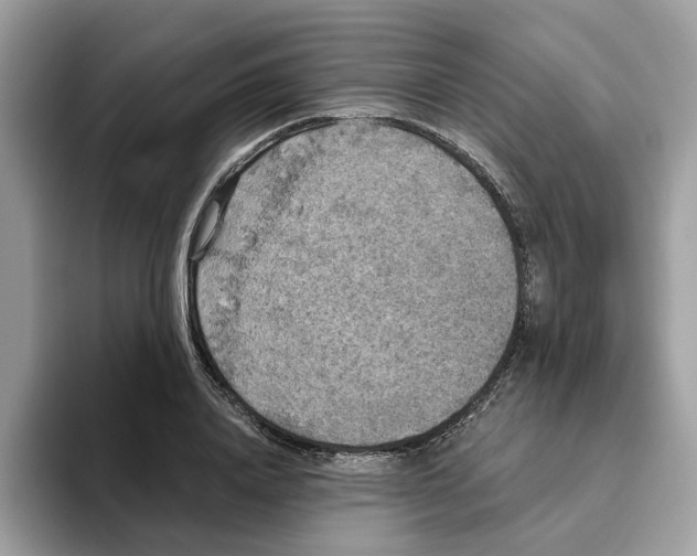 X0000093450840200711091511