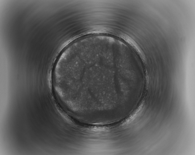 X0000093450842200711091511