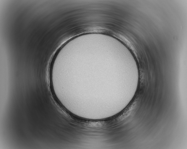 X0000093450843200711091511