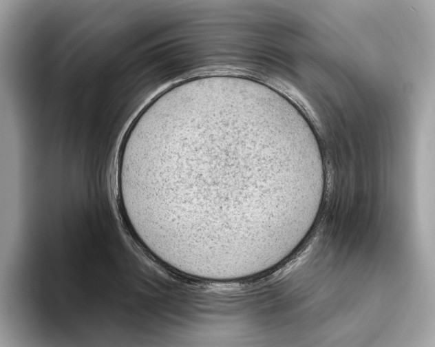 X0000093450844200711091511