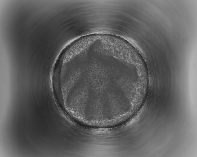 X0000093450846200711091511