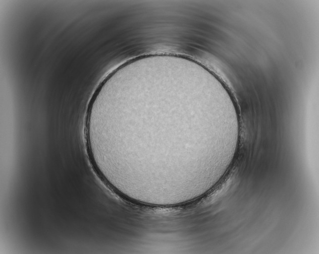 X0000093450847200711091511