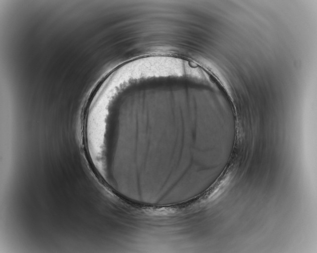 X0000093450851200711091511