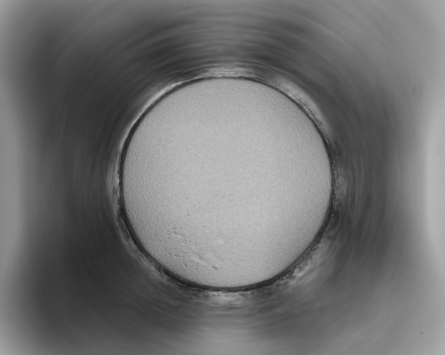 X0000093450852200711091511