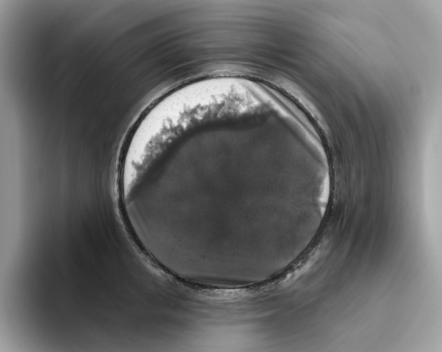 X0000093450853200711091511