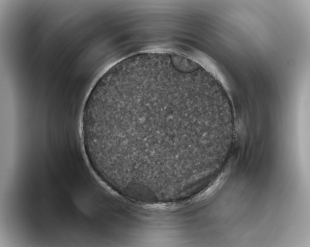 X0000093450855200711091511