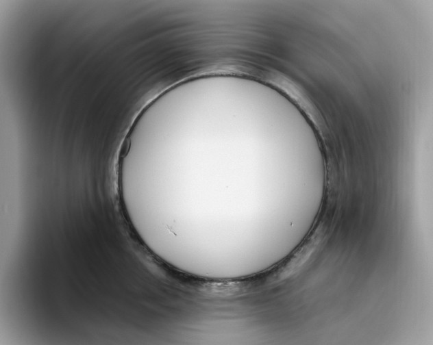 X0000093450858200711091511