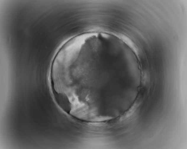 X0000093450863200711091511