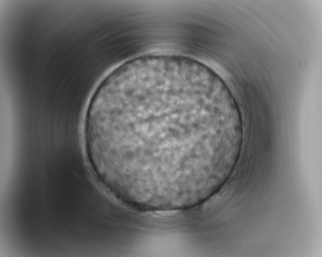 X0000093450864200711091511