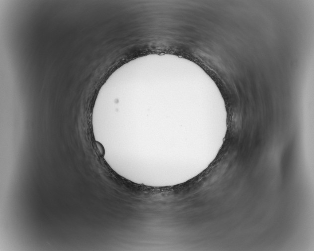 X0000093450865200711091510