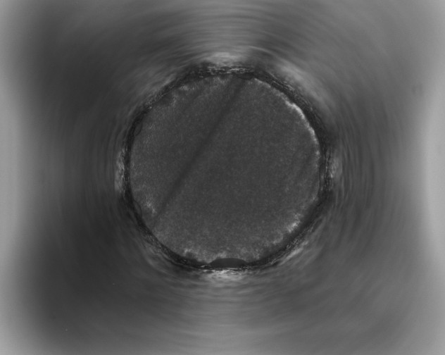 X0000093450868200711091510