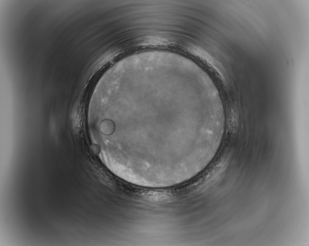 X0000093450874200711091510