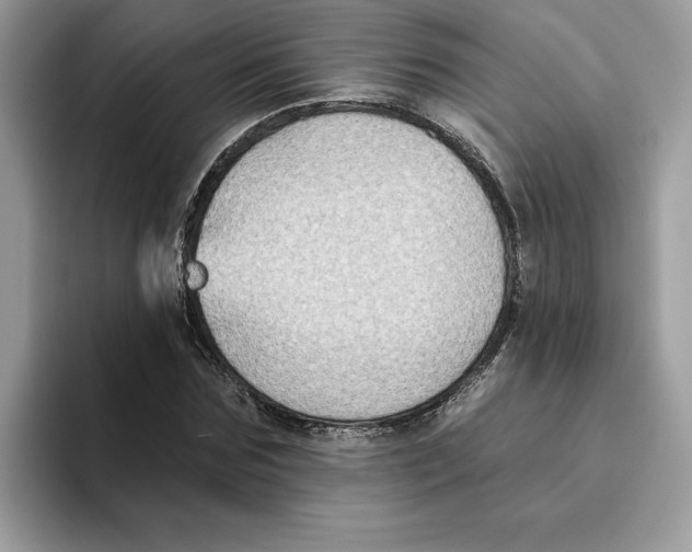 X0000093450875200711091510