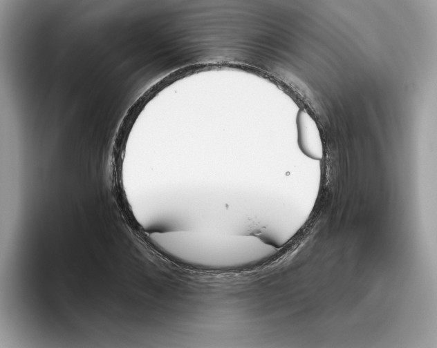 X0000093450876200711091510