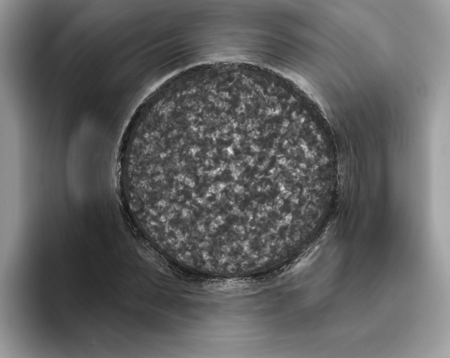 X0000093450879200711091510