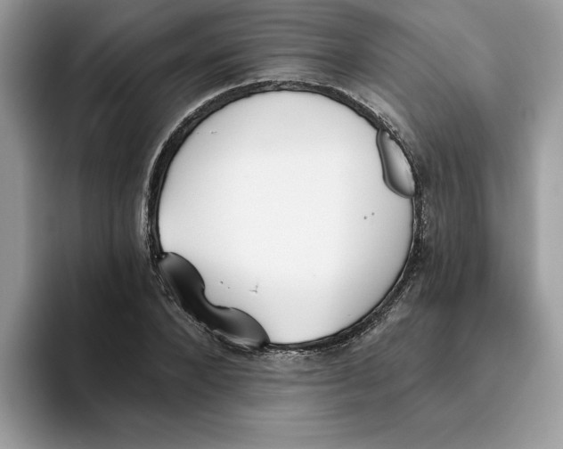 X0000093450880200711091510