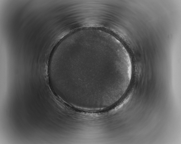 X0000093450881200711091510