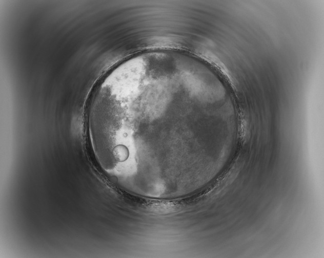 X0000093450882200711091510